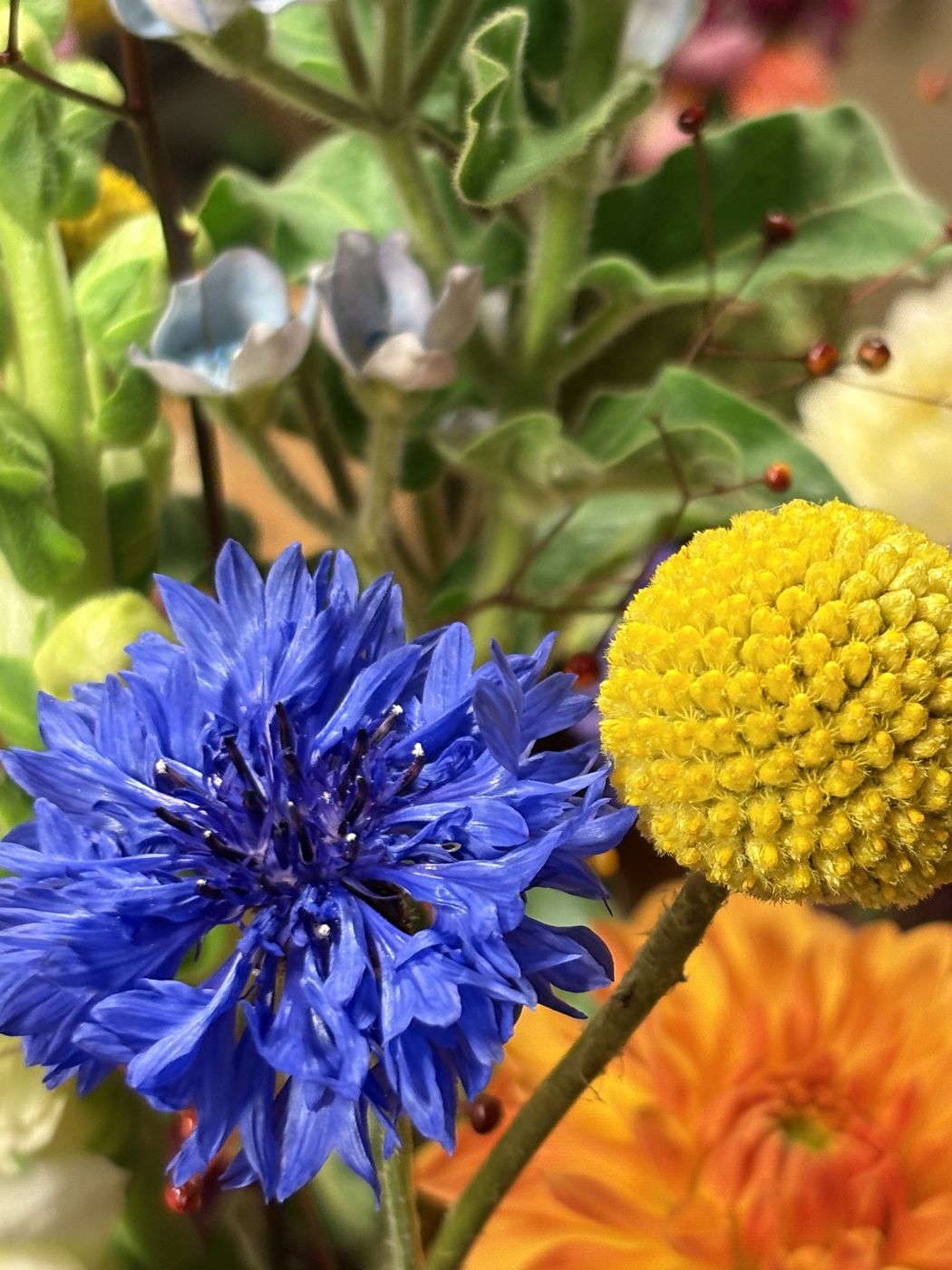 Blumenstrauß mit frischen Schnittblumen